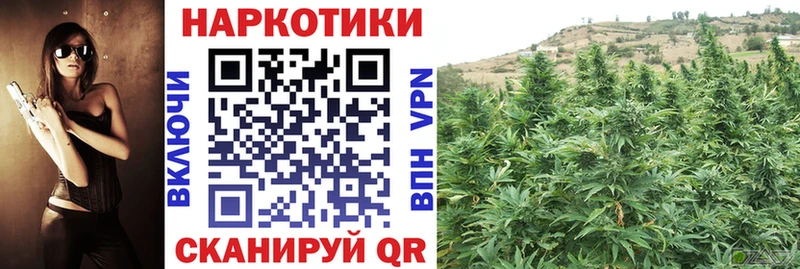 Сколько стоит Новозыбков APVP Канабис Мефедрон ГАШ