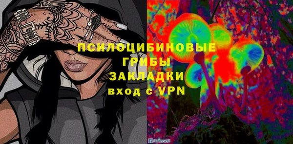 прущая мука Арсеньев