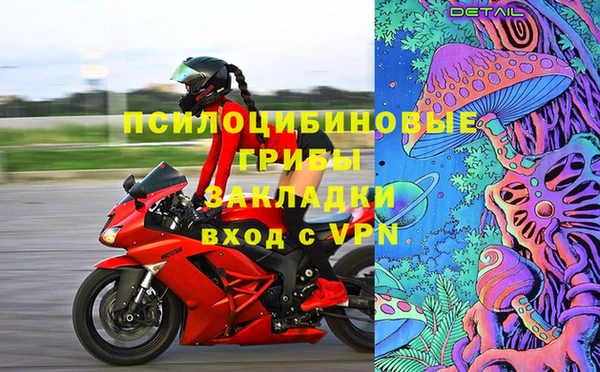 прущая мука Арсеньев