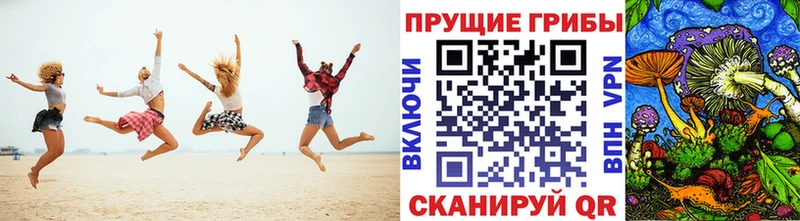 Псилоцибиновые грибы Cubensis  закладки  Новозыбков 